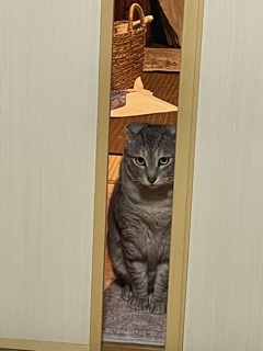 距離感2(俺はお前が嫌いだ)