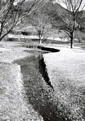 公園の水路（沢）