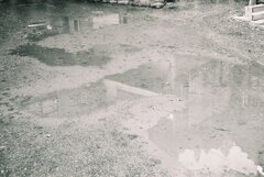 水溜まり