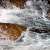 泡沫