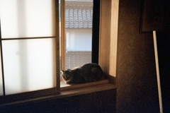 距離感４