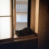 距離感４