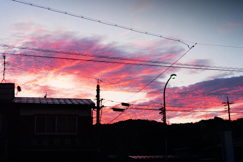 The fragile blush of dawn.