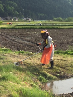草刈り