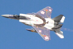 百里　F15　スぺマ
