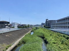 TkT