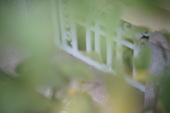 角砂糖