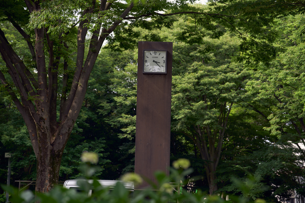 夏の予感