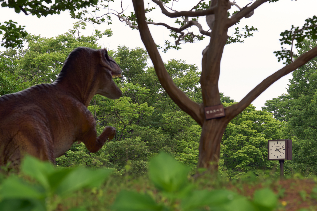 もうすぐ帰ろう