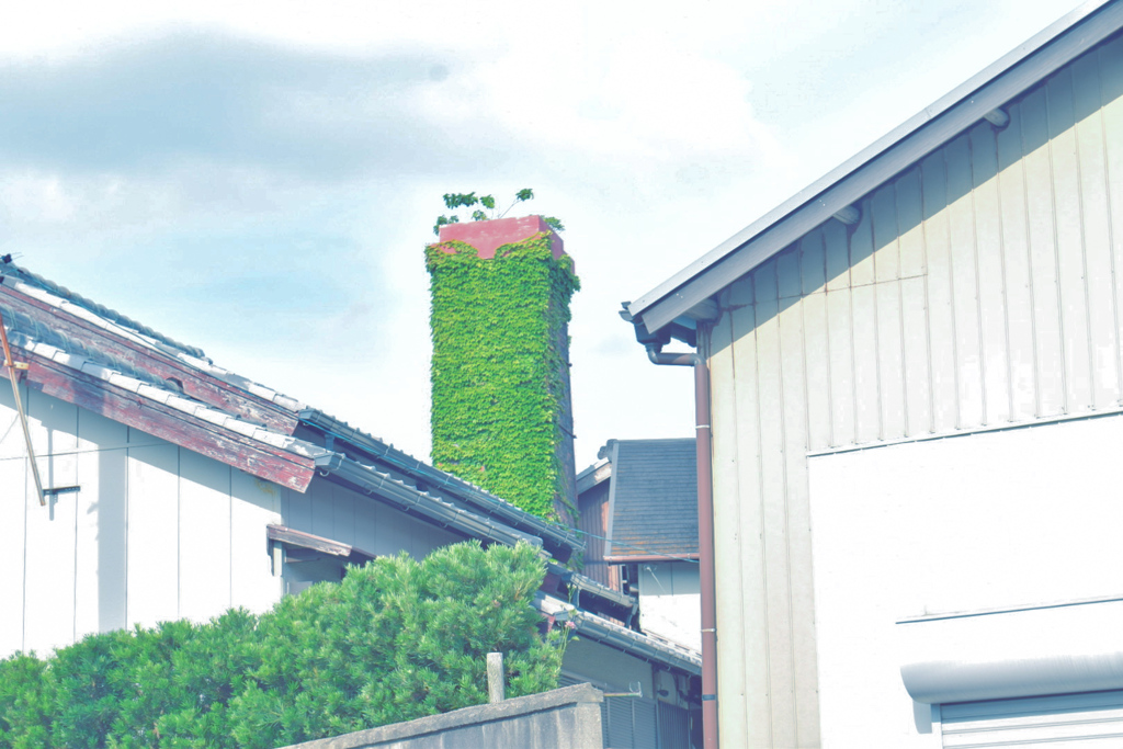 見慣れない景色