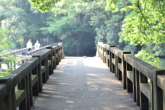道はつづく