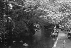 bwpk 15