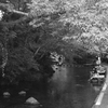 bwpk 15