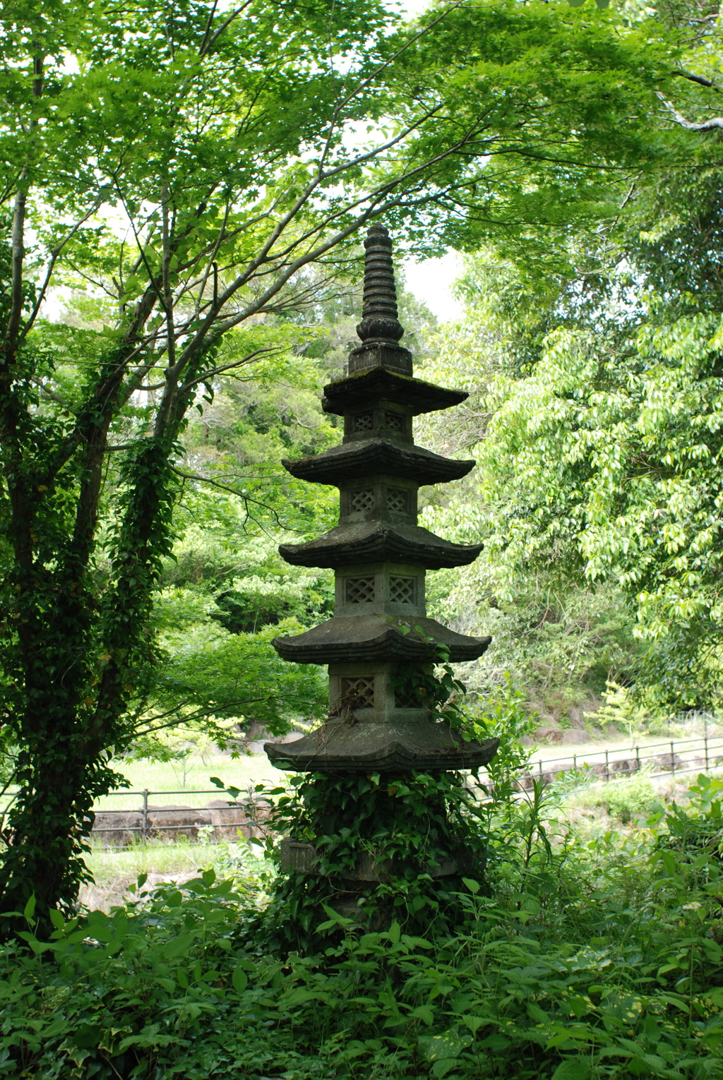 nonai 04