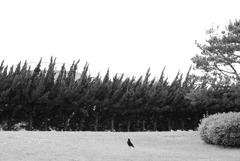 bwpk 14