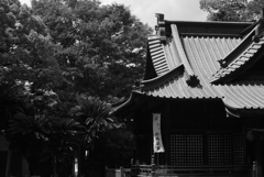 bwai 05