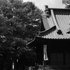 bwai 05