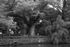 bwpk 09