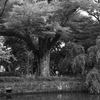 bwpk 09