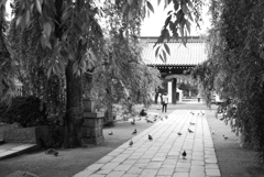 bwpk 08