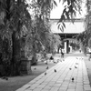 bwpk 08