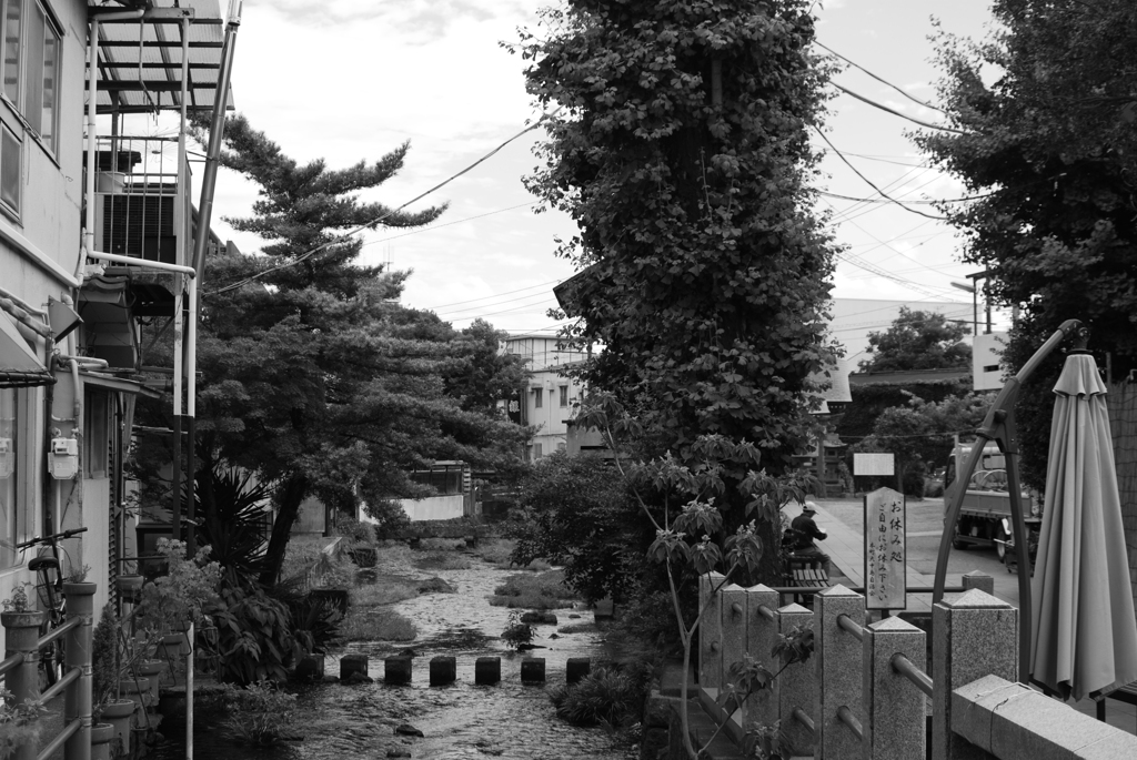 bwpk 05