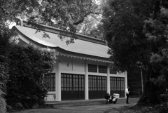 bwpk 11