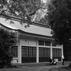 bwpk 11