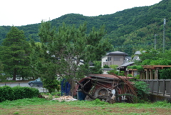 nonai 19