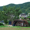 nonai 19
