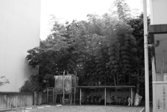 bwpk 18