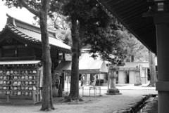 bwpk 10