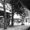 bwpk 10