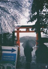 雨粒越しに見る鳥居