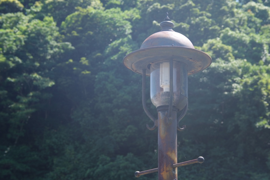 夏の始まり