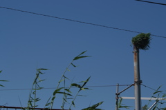 廃墟０１