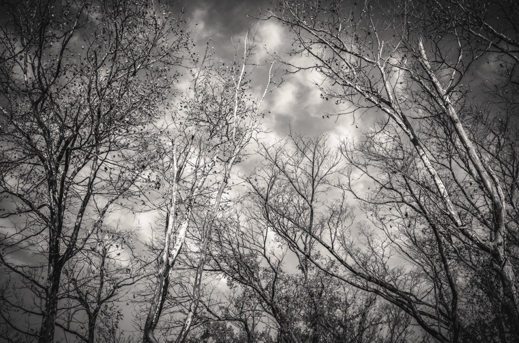冬空