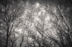 冬空