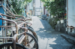 長閑な日和