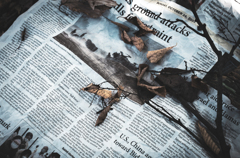 新聞