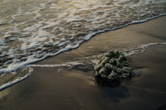 海辺の風景