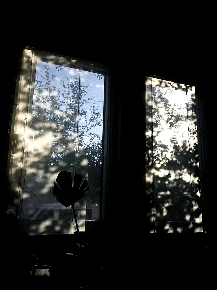 11月の窓