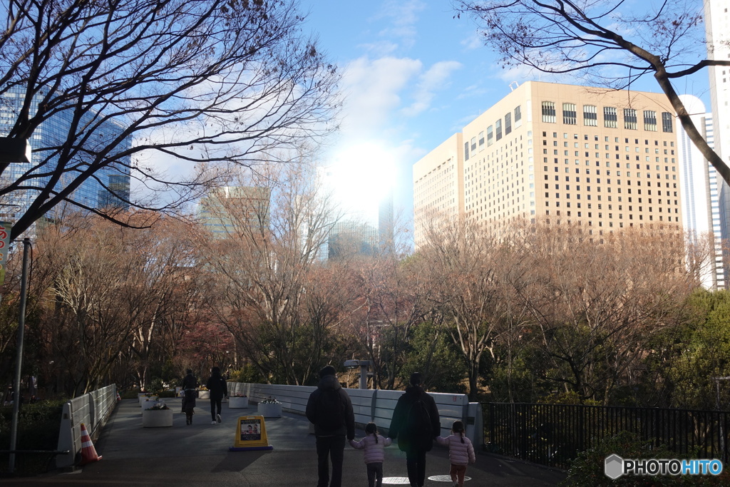 新宿中央公園