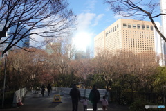 新宿中央公園