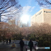新宿中央公園