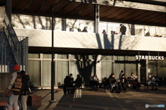 STARBUCKS