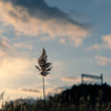 冬の夕焼け空の下で