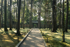 門