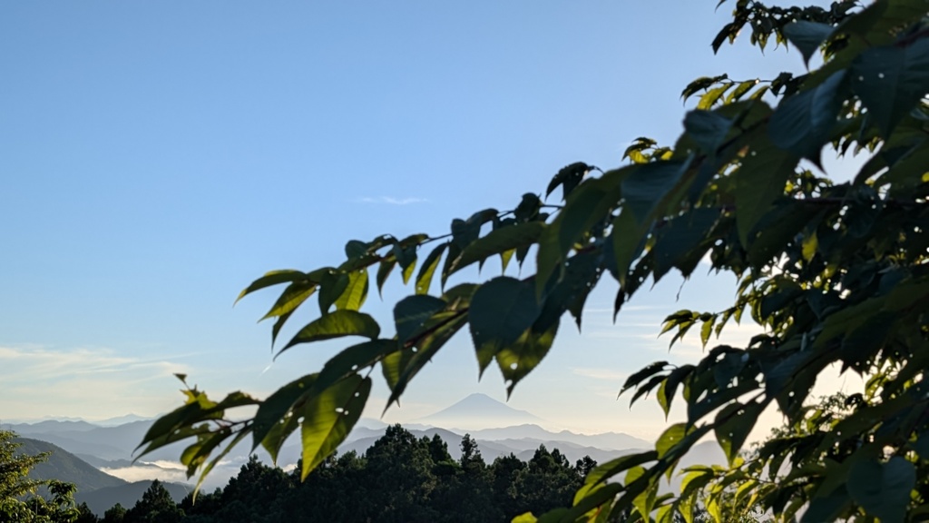 額縁の中に富士山