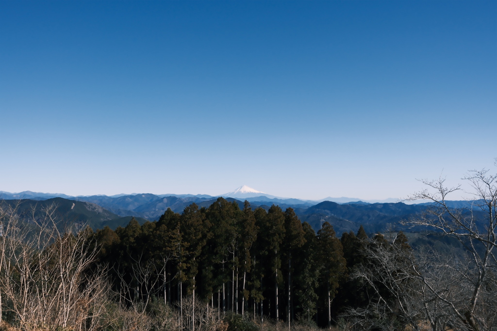 粟ヶ岳より望む富士